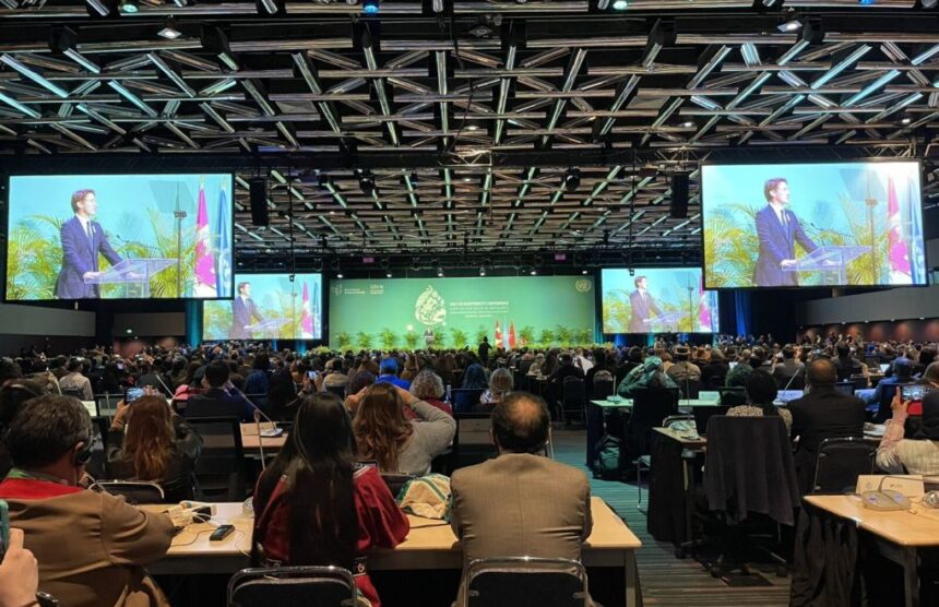 As Colombia continues to play a leading role in the COP28 in Dubai, today the country announced its official offer to host in 2024 the sixteenth meeting of the biannual United Nations Conference on Biodiversity (COP16), the most important event in the world on this issue.