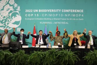 Press Release: "Peace with Nature" is the official slogan of the COP16 on Biodiversity in Colombia.