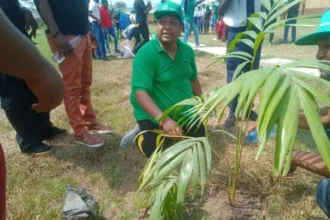 Climate Action: MTN, TECH Mahindra Plant 40 Trees At Lagos School